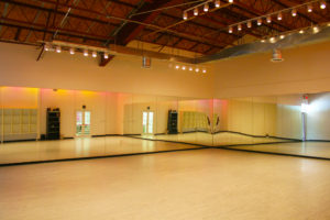 The Pulse Performing Arts Center studio facility