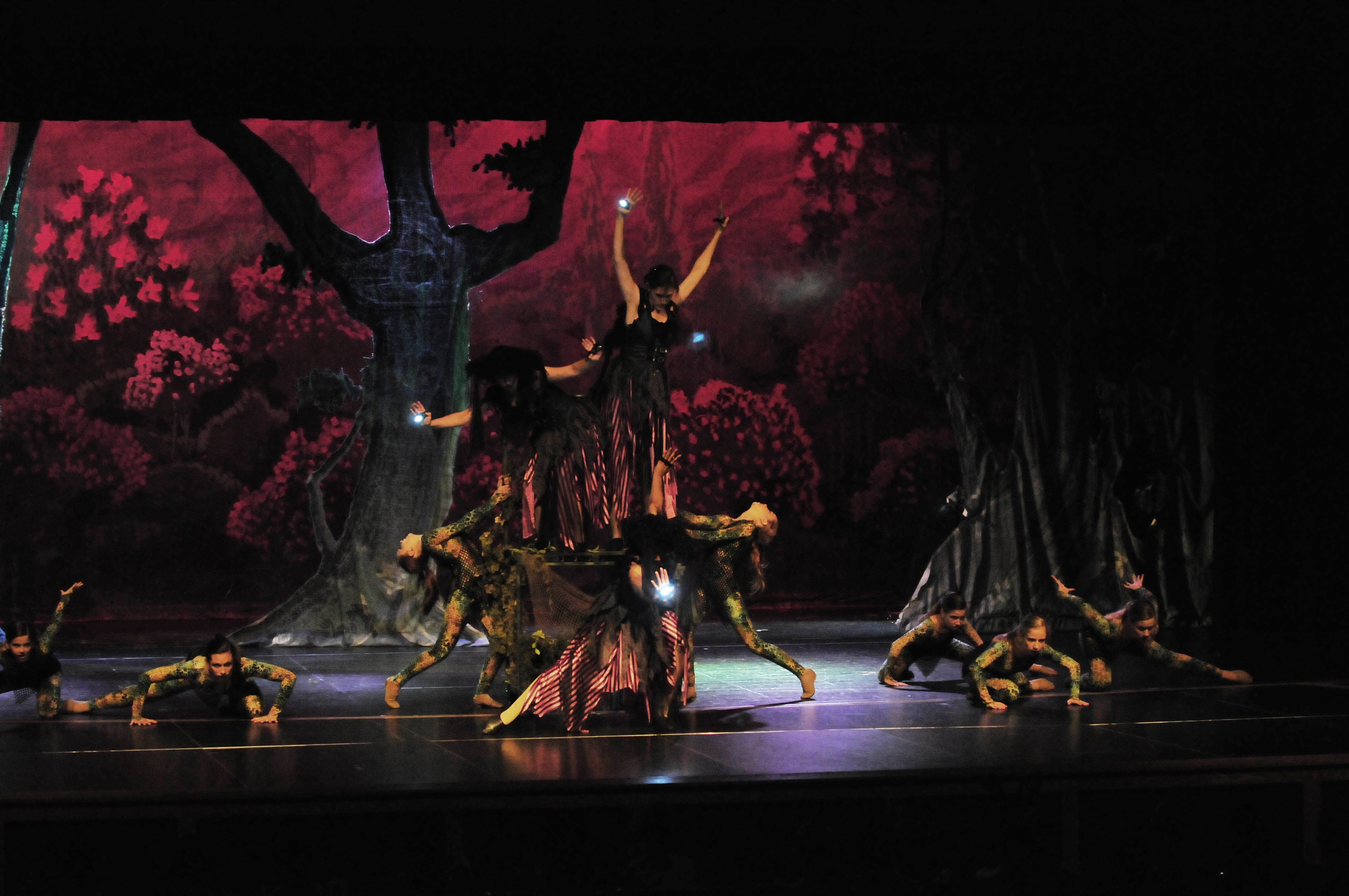 The Pulse Performing Arts Center dancers performing in Pulse Productions