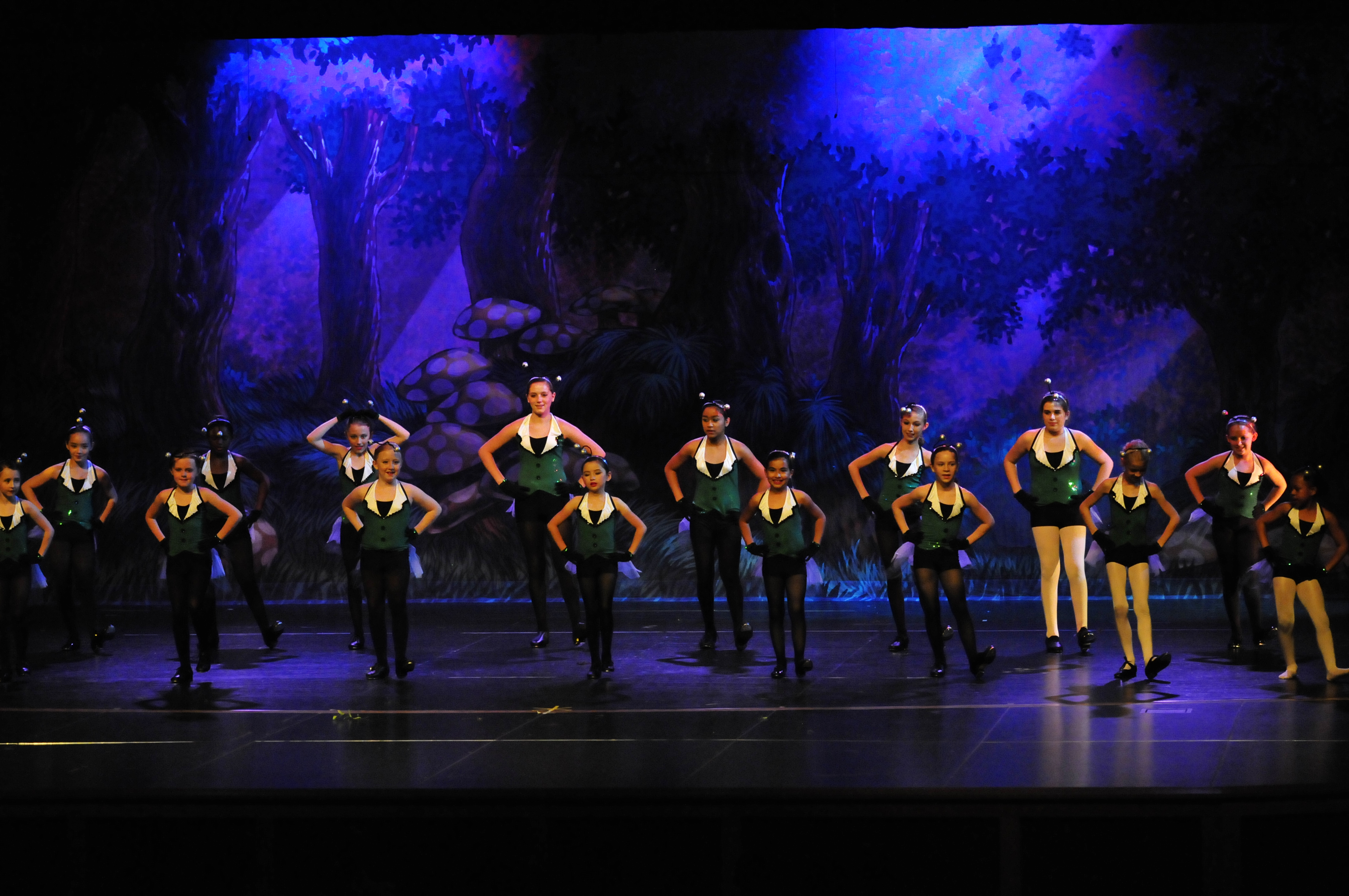 The Pulse Performing Arts Center dancers performing in Pulse Productions